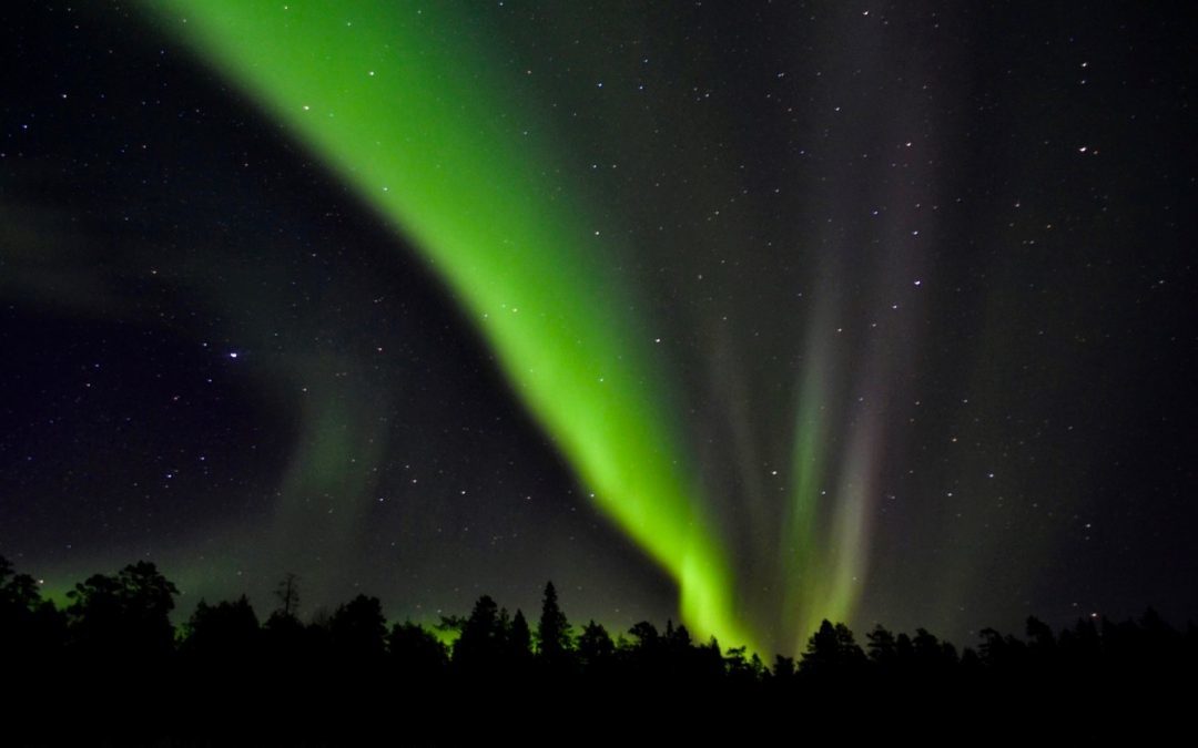 The Amazing Aurora
