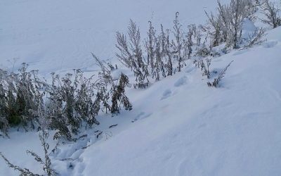 Lapland and some winter wonders!