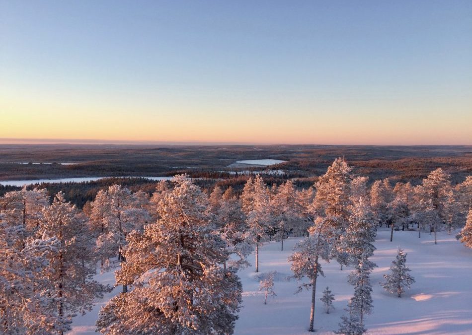 A cold day for a Wilderness tour!