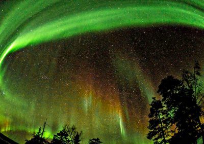 The Aurora is back!