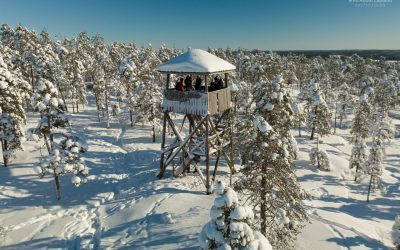 If you want to experience the arctic nature, come to Rovaniemi!