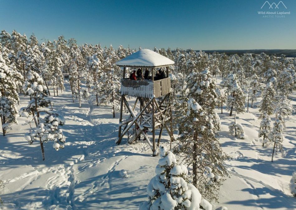 If you want to experience the arctic nature, come to Rovaniemi!