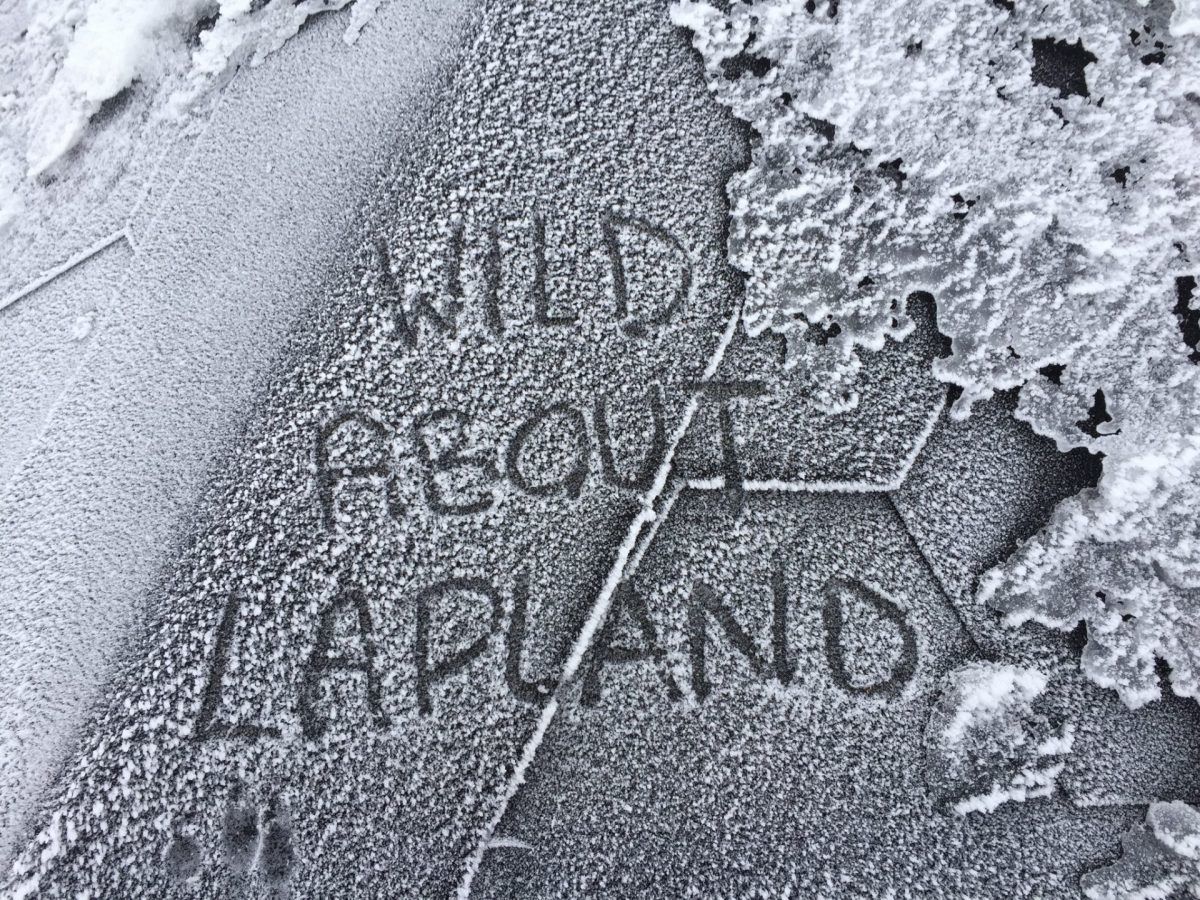 Rovaniemi, Wild About Lapland