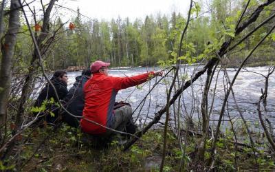 A Walk Through The Lapland Wilderness