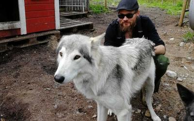 An Incredible Encouter with Wolfdogs