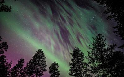 Northern lights tours – Winter 2019