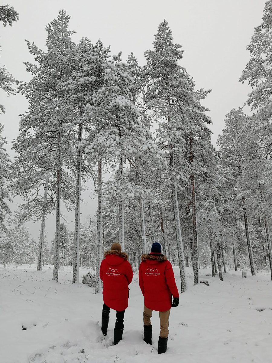 Snow adventure Lapland