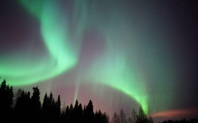 Northern Lights Tours: 20-21 January 2020