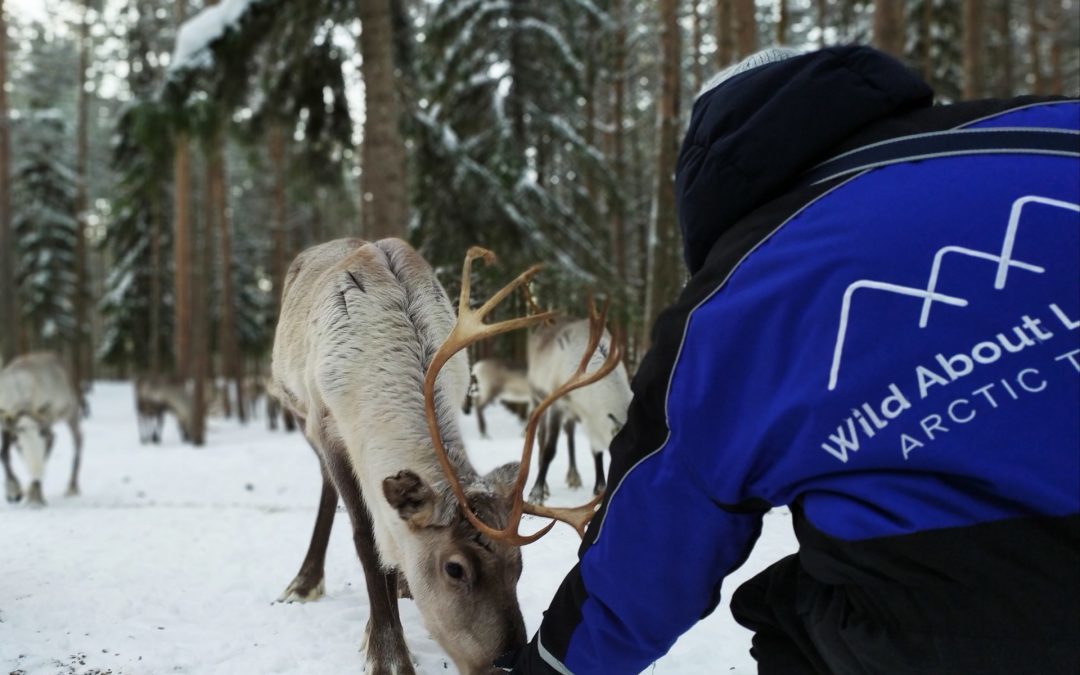 8 February 2020: Peaceful visit to the reindeer farm