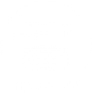 Best Company Tour Rovaniemi