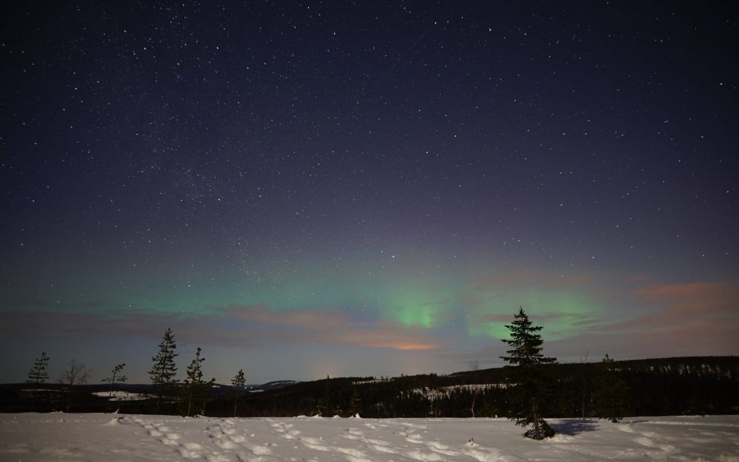 THE NORTHERN LIGHTS TOURS: 2 MARCH 2020