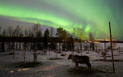 THE NORTHERN LIGHTS TOURS: 20 MARCH 2020