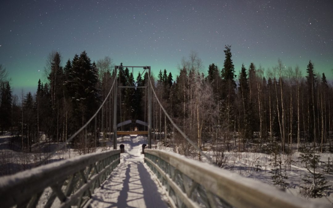 THE NORTHERN LIGHTS TOURS: 3-4 MARCH 2020