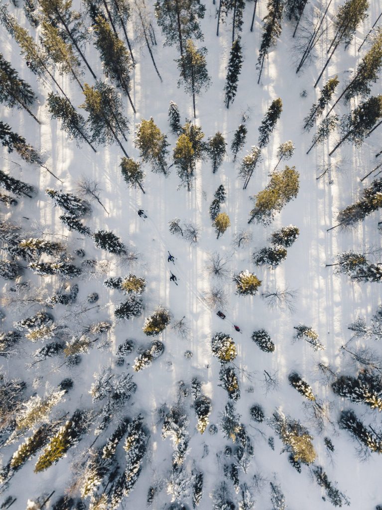 ski trekkers from above