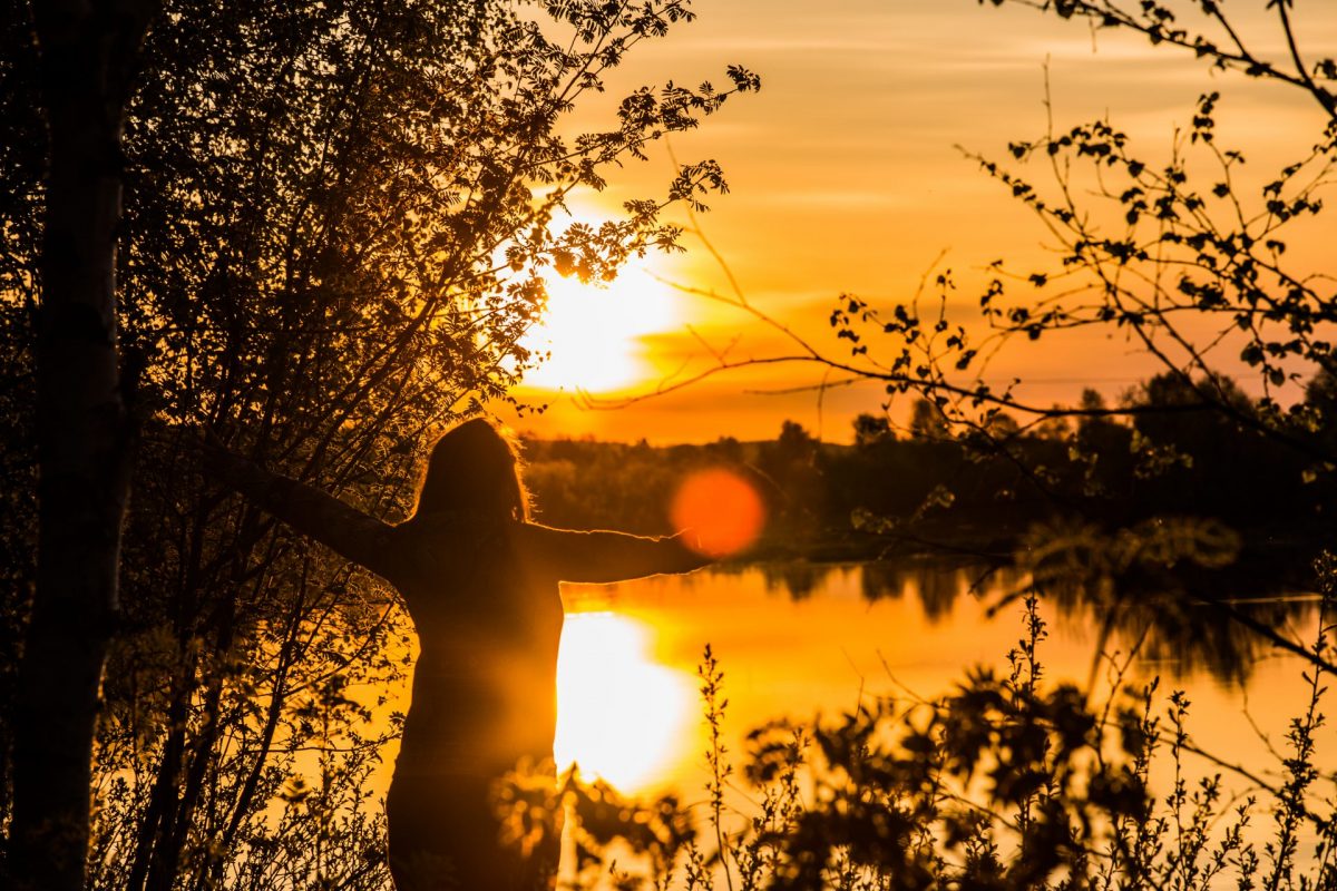 Summer Lapland Summer Lapland