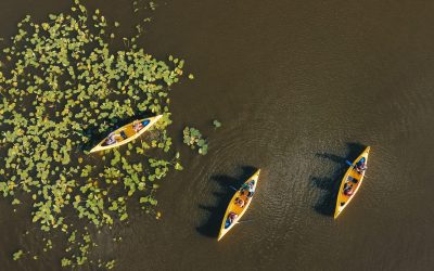 CANOE & REINDEER COMBO: THE BEST SUMMER TOUR IN ROVANIEMI!