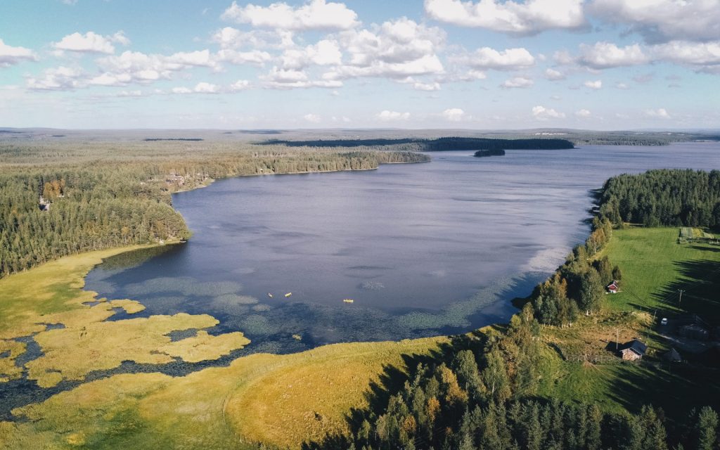 summer reindeer tour rovaniemi