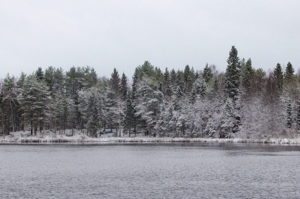 First snow Rovaniemi