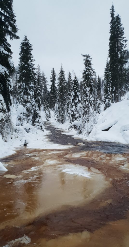 Korouoma Canyon Winter Wonderland