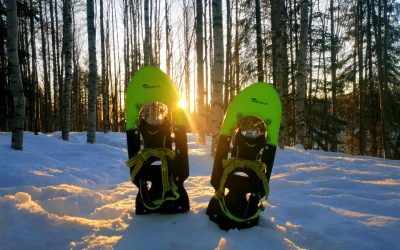Snowshoeing in the Taiga Forest