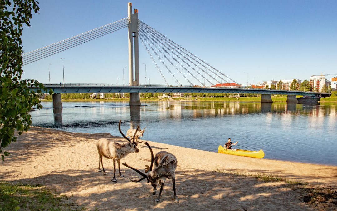 Canoeing in Rovaniemi