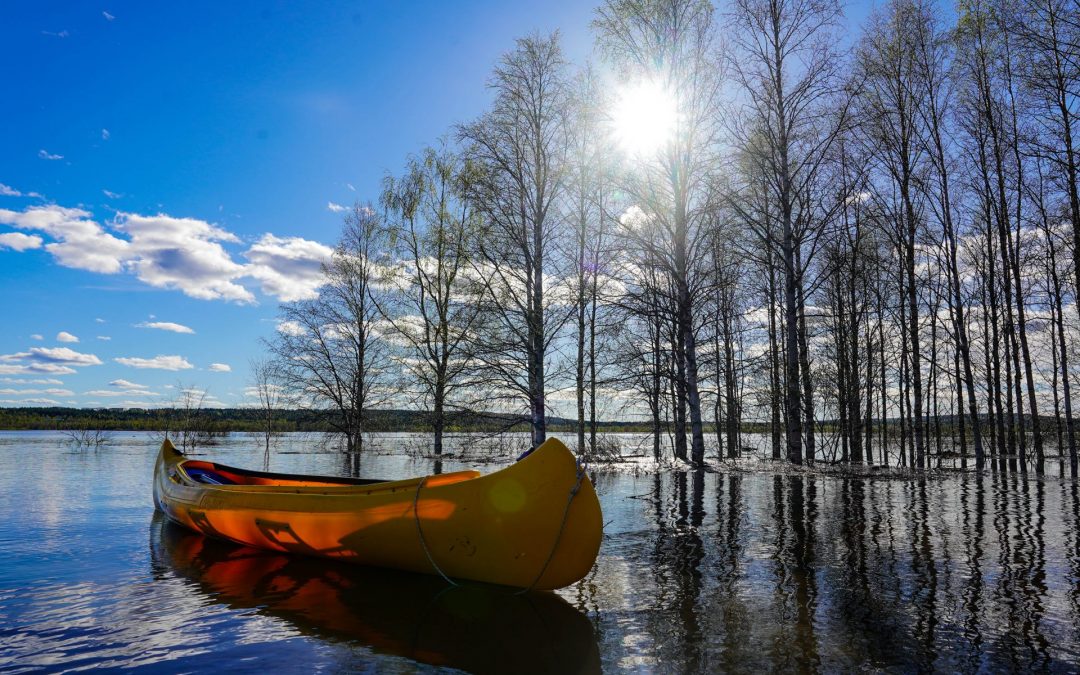 Summer in Rovaniemi