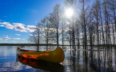 Summer in Rovaniemi