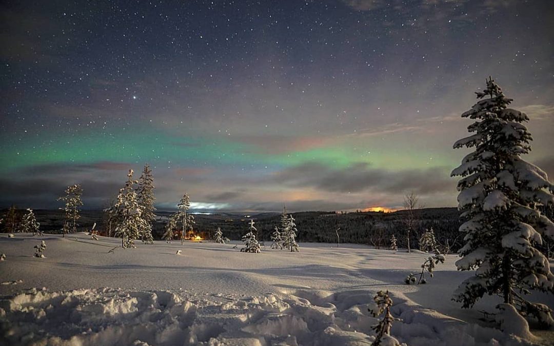 Northern Lights Tours winter 2021