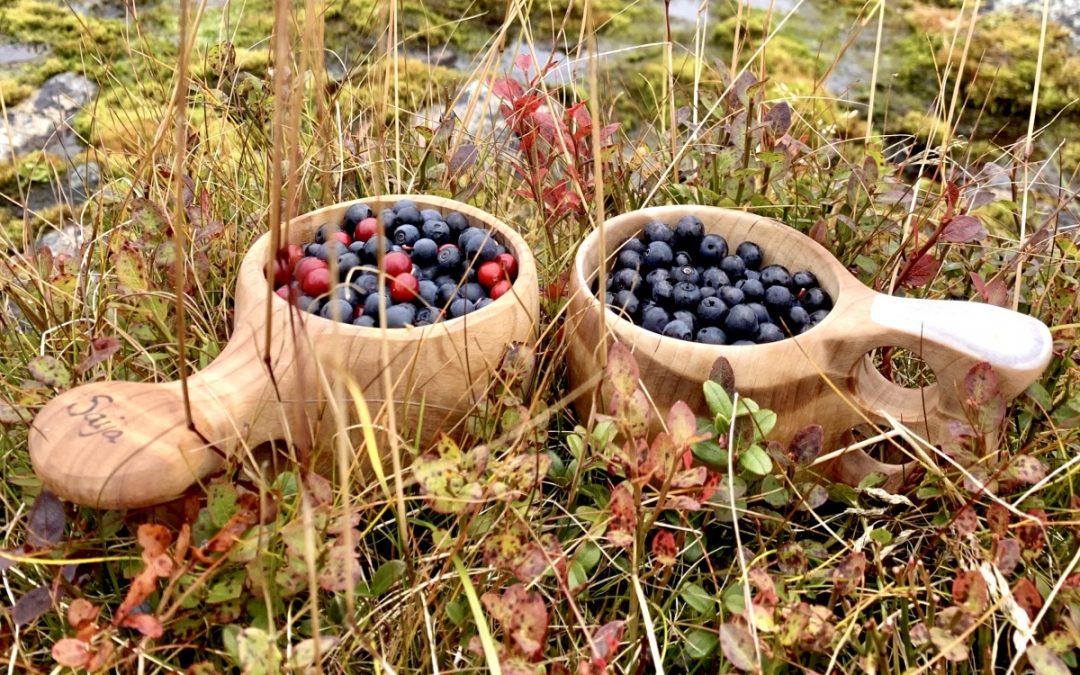 Autumn in Lapland: Have you breathed today?