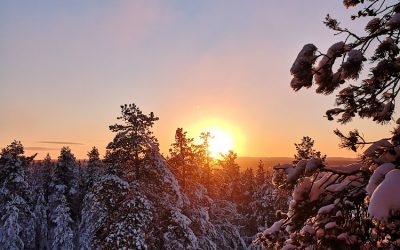 The snow has arrived – again…