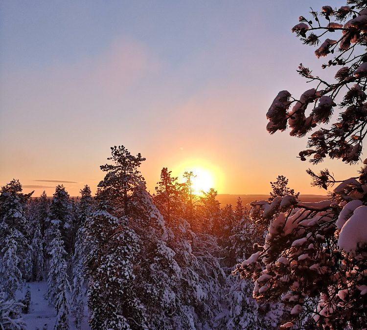 The snow has arrived – again…