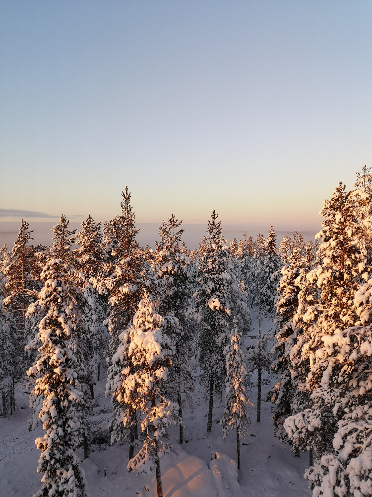 Snow in Lapland