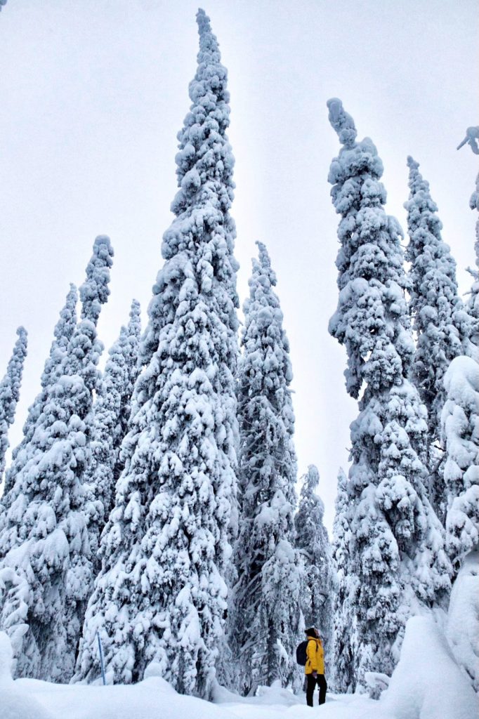 Snowshoeing