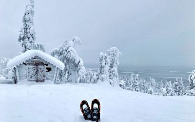 Off the beaten path – snowshoeing in Lapland