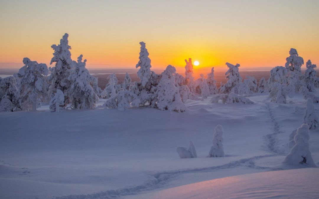 Giant snowy marshmallow trees, pink Arctic skies and more of Lapland’s magical fairy tale world!