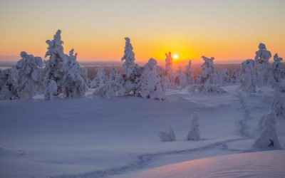 Giant snowy marshmallow trees, pink Arctic skies and more of Lapland’s magical fairy tale world!