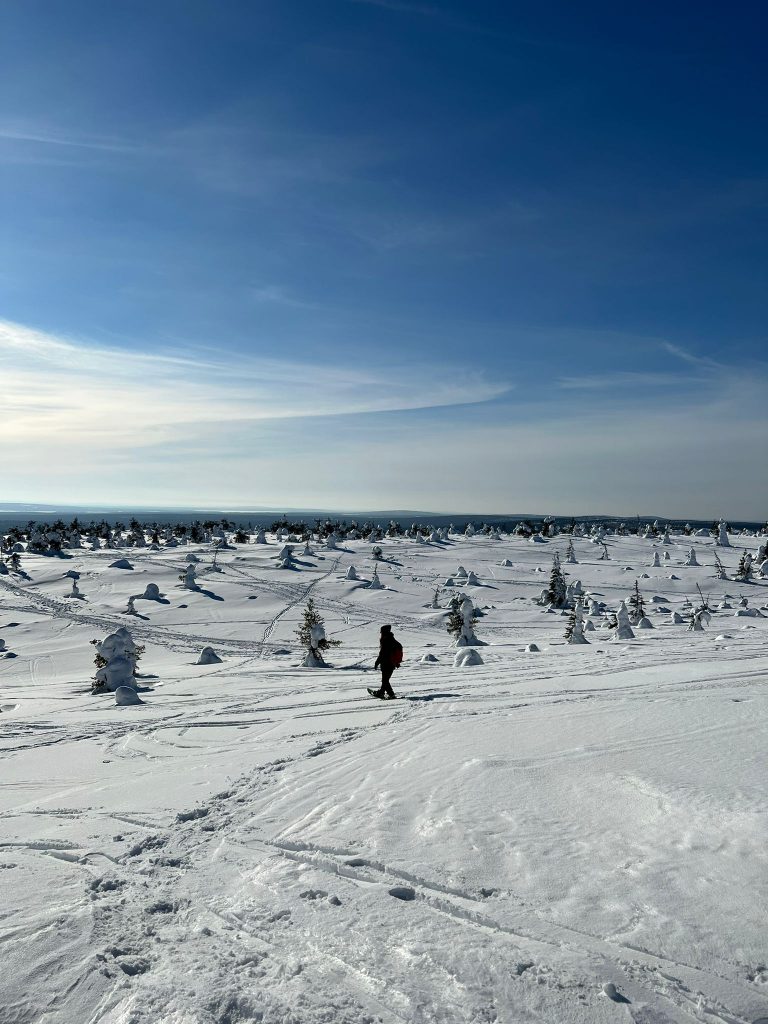 Riisitunturi National Park