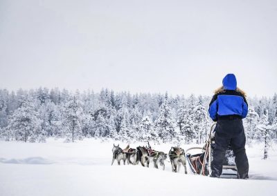 Husky Safari in Lapland