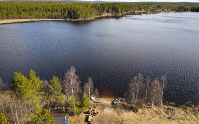 A reindeer farm: A fairy tale experience even in summer?
