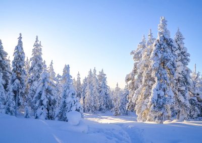 Wilderness Survival Tour