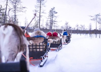 Reindeer Safari in Lapland