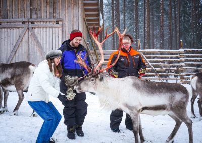 Reindeer Farm Visit