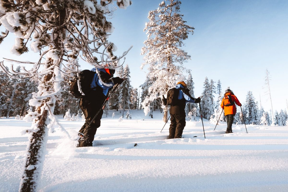 Ski Trekking