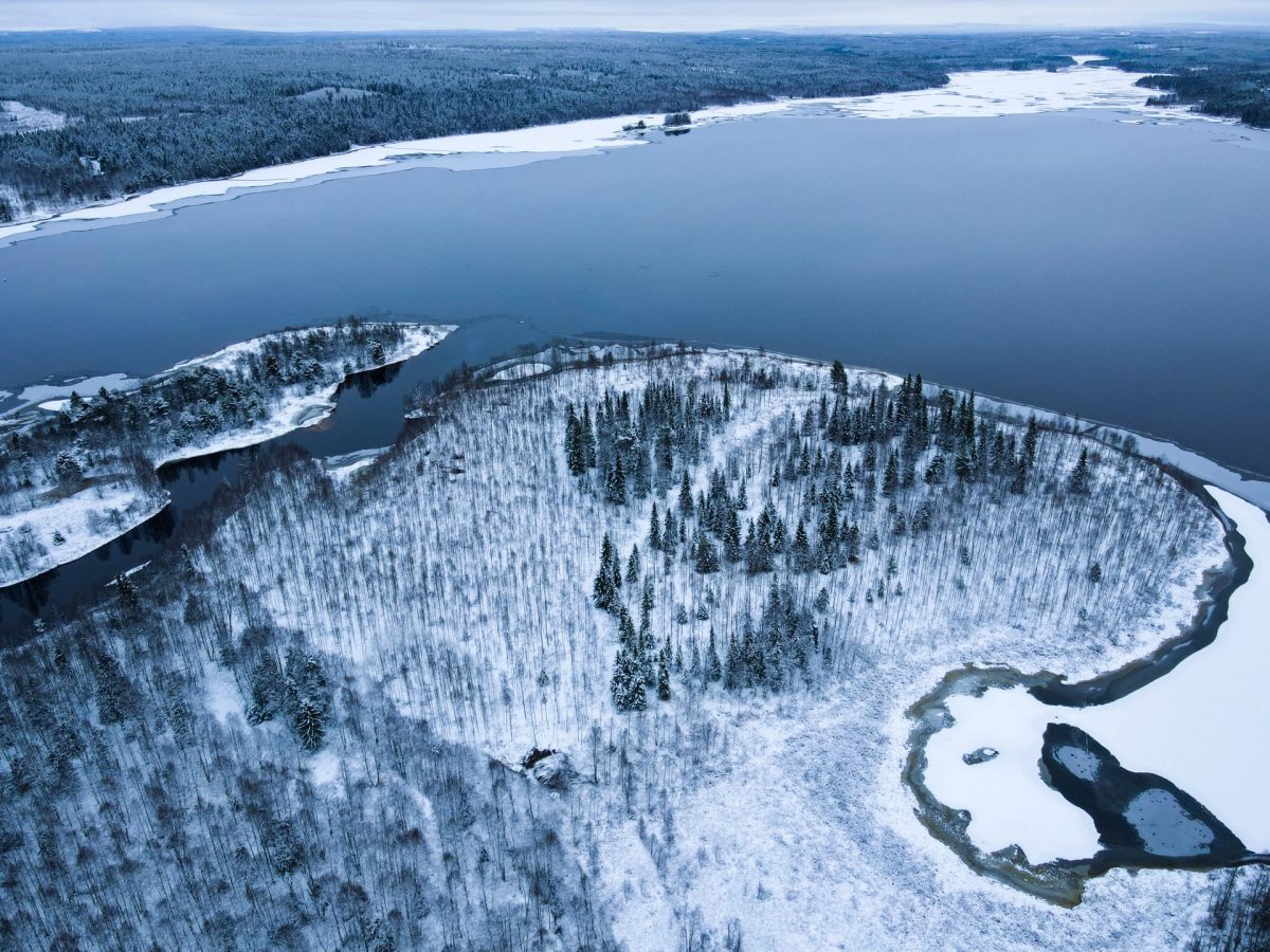 Frozen landscapes in Lapland