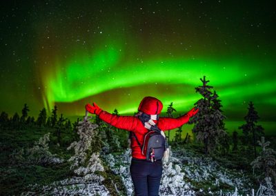 Northern Lights Wilderness Tour