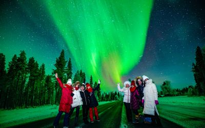 Christmas Season is here and the Northern Lights were crazy last night!
