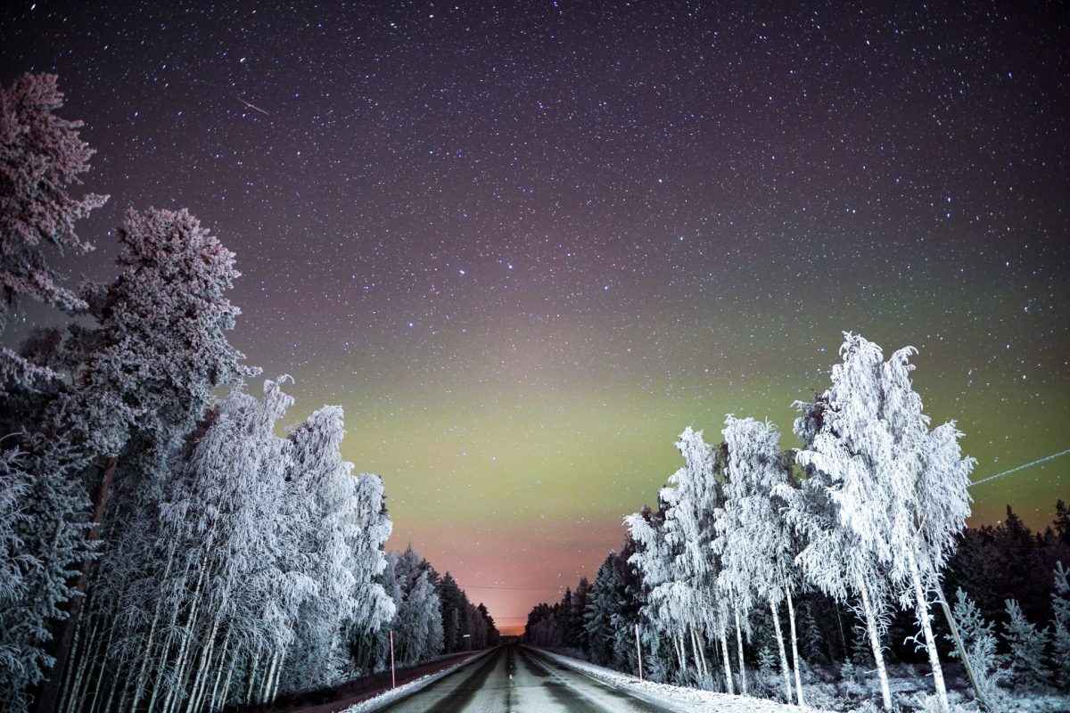 Night drive in Lapland