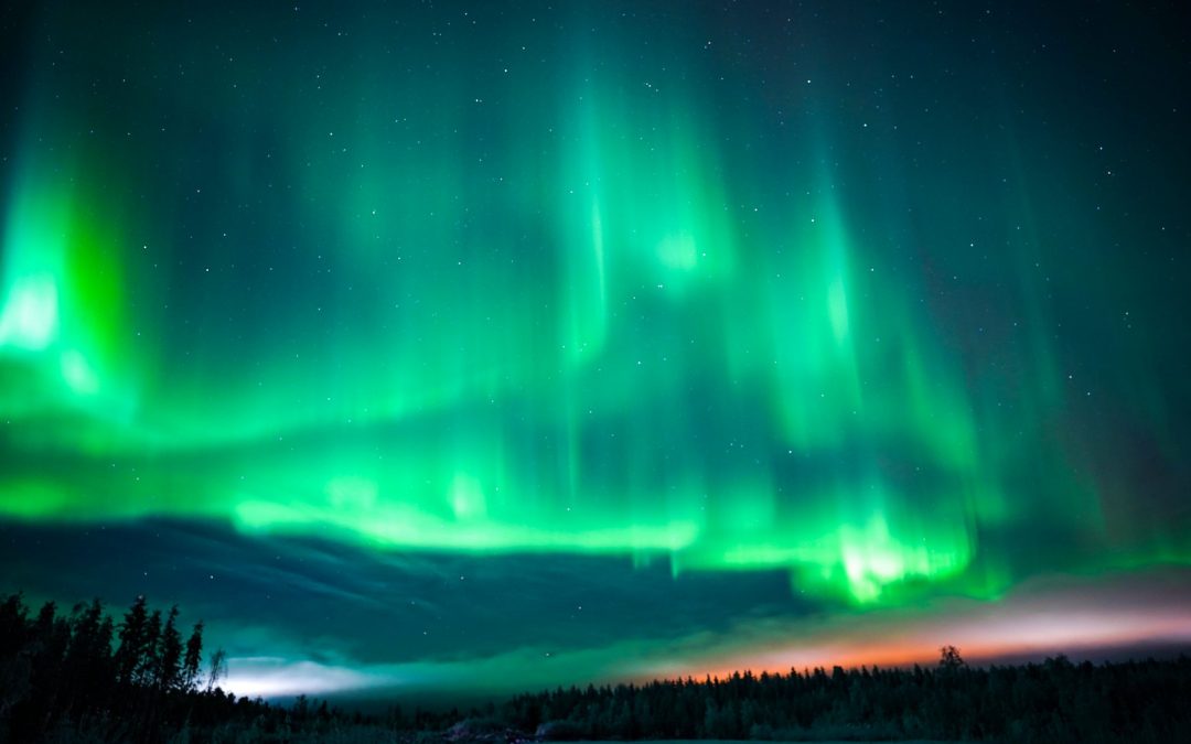 A cloudy week in Rovaniemi… but with successful Northern Lights tours!