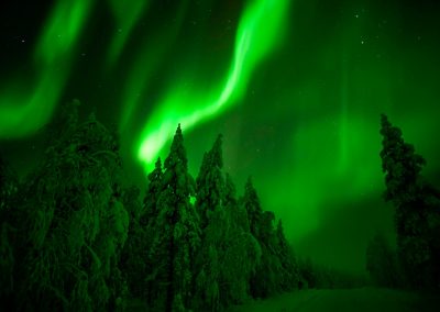 Northern Lights Hunting Adventure in Lapland