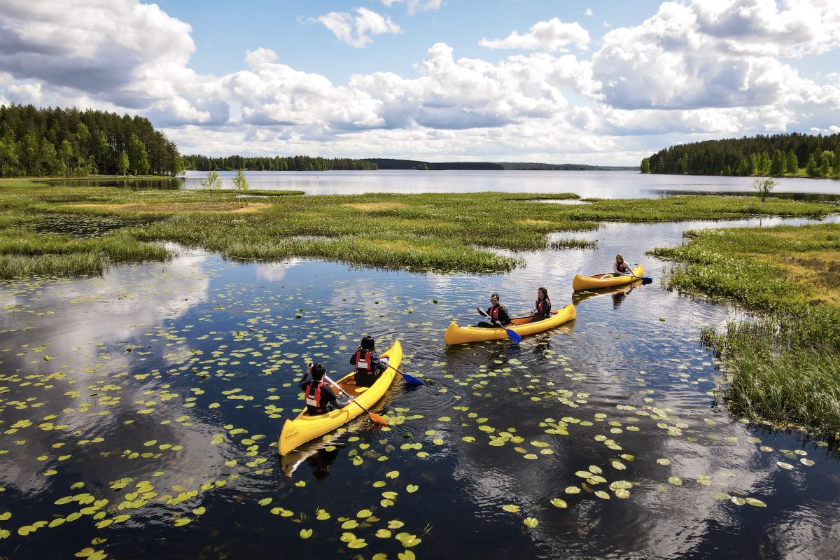 Authentic Reindeer Farm Visit with Canoe Trip in the Nature